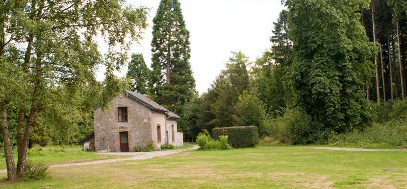 The house in the middle of the meadow, surrounded by tall trees