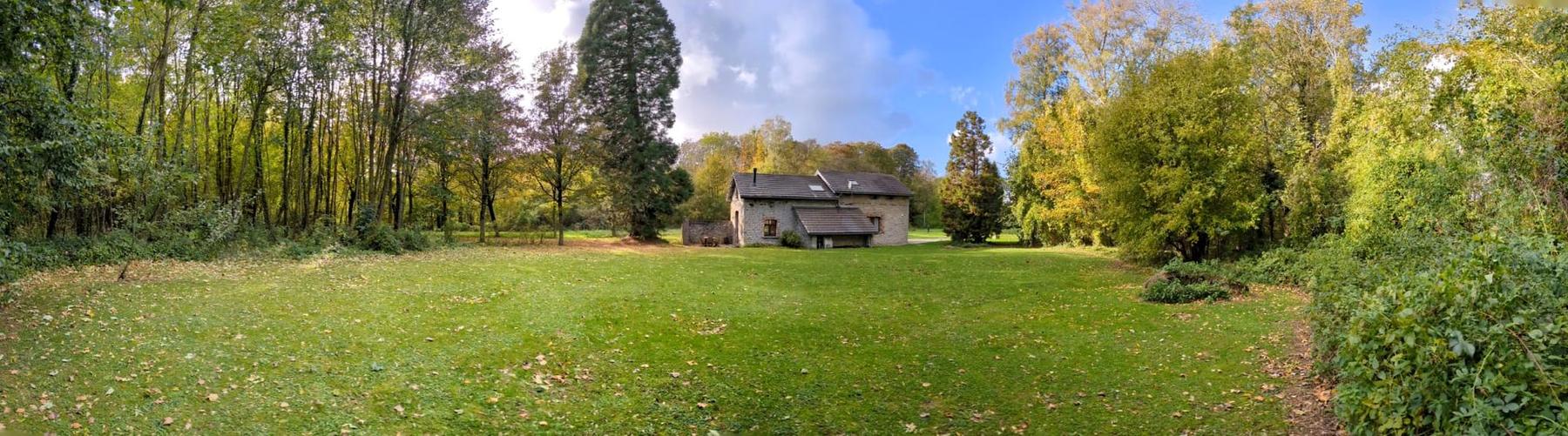Le jardin et la maison au pied du grand séquoia, en automne